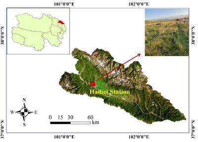 Effects of short- and long-term plant functional group removal on alpine meadow community niche